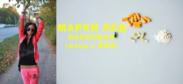 твердый Аркадак