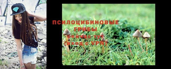 твердый Аркадак